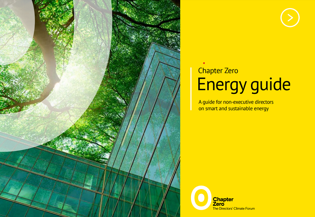 Climate Governance Initiative, Nigeria Energy Guide