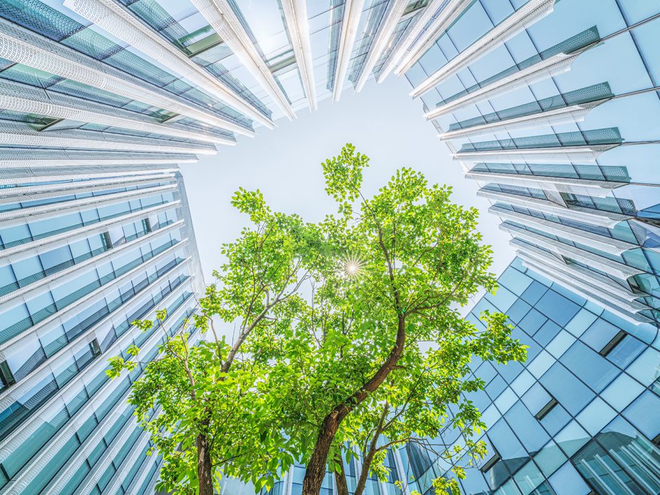 Appointment of Director of the Climate Governance Initiative